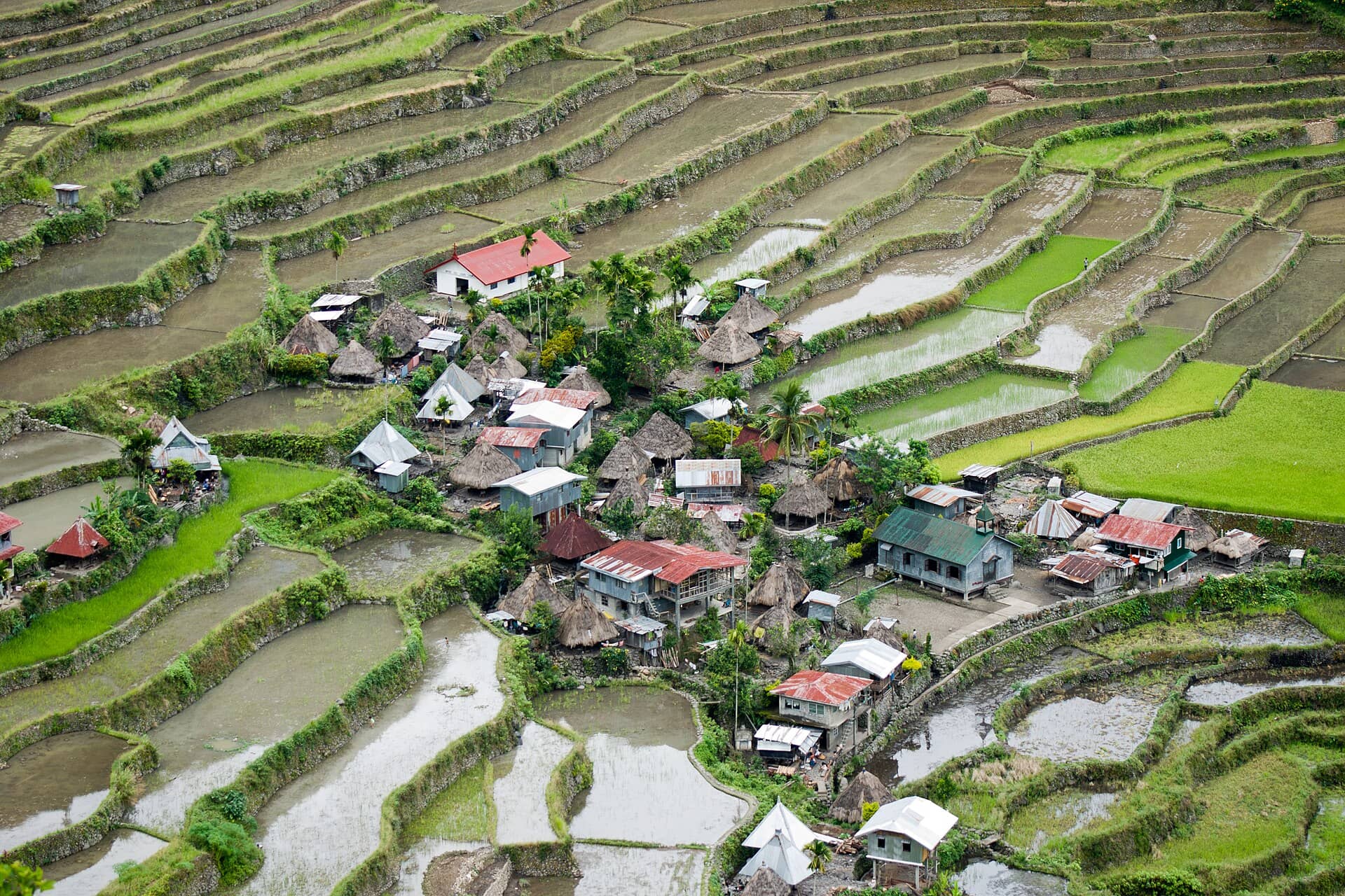 Batad Rice Terraces, Ifugao